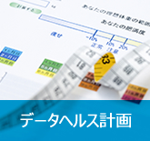 データヘルス計画